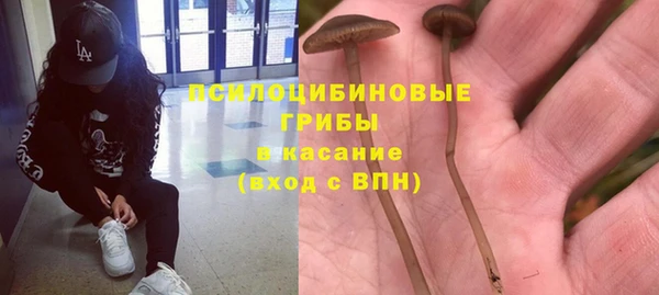 кристаллы Богородицк