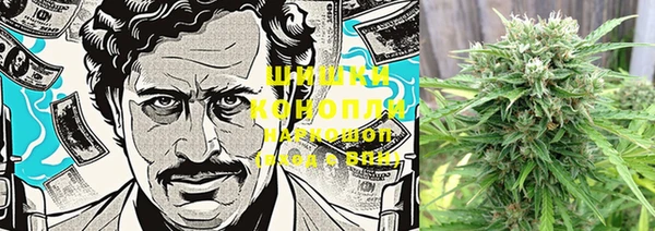 шишки Баксан