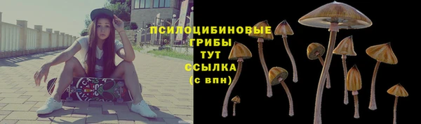 кристаллы Богородицк