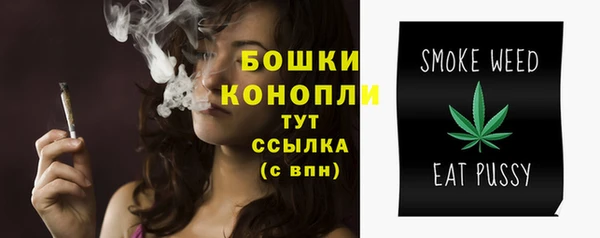 амф Богданович