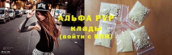 амф Богданович